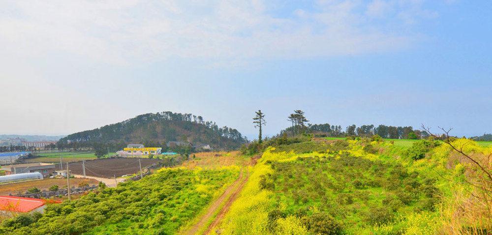 Attene Pension Jeju Exterior photo